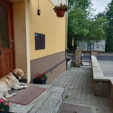 Pensionat Msprivat Karlovy Vary