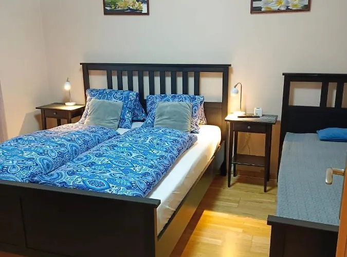Pensión Msprivat 3*